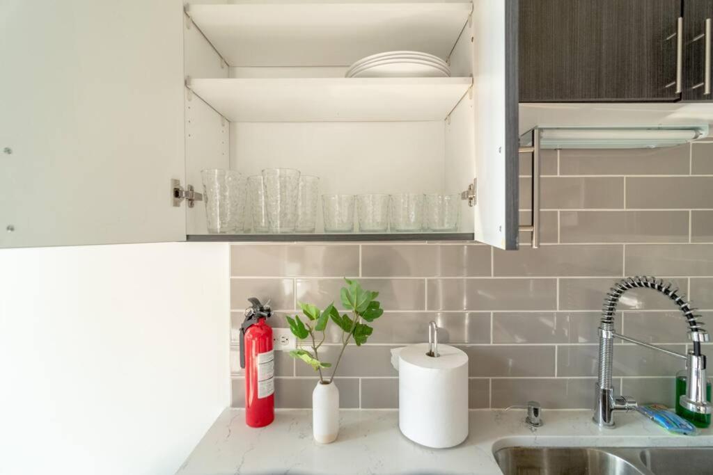 Mccormick Place Beautiful 2Br Apartment With Optional Parking Sleeps Up To 8 Near Soldier Field, Grant Park And Lakefront Trail Chicago Luaran gambar